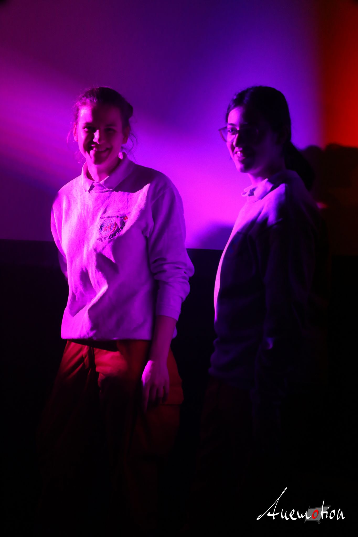 ElephantsFalling (30)